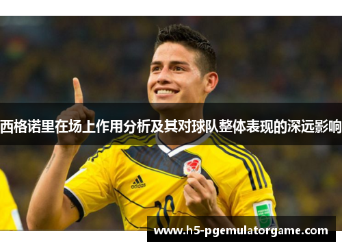 西格诺里在场上作用分析及其对球队整体表现的深远影响